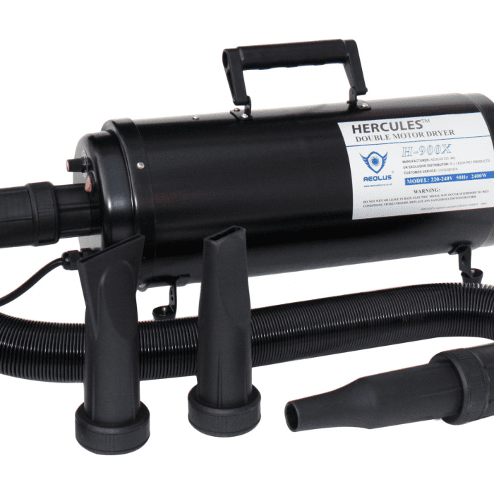 AEOLUS HERCULES 2400W tuplamoottorikuivain