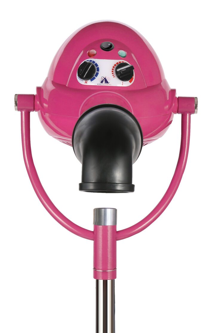 AEOLUS Hiiletön kuivain jalustalla, Pink