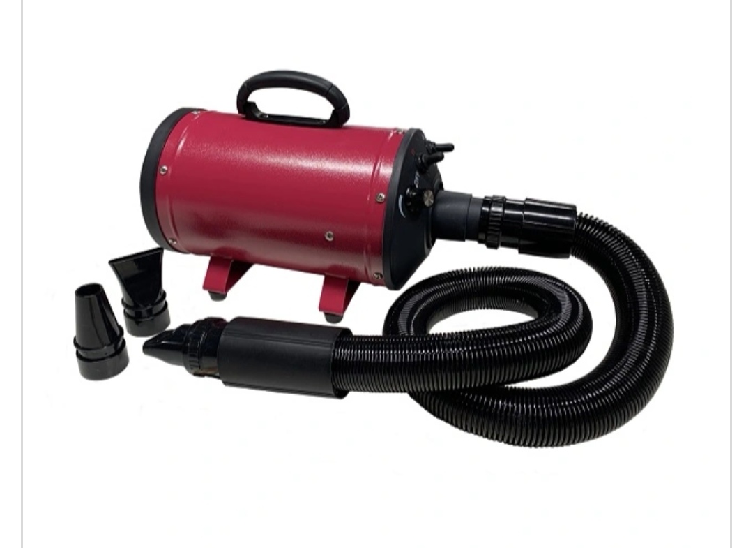 HORNBLOWER Retro-kuivain, 2200W, Punainen
